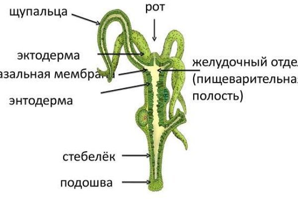 Кракен наркотики в оренбурге