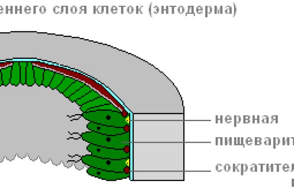 Что такое кракен маркетплейс в россии